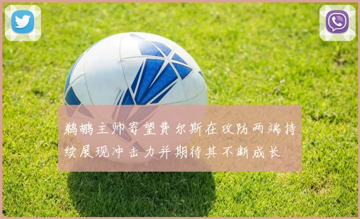 鹈鹕主帅寄望费尔斯在攻防两端持续展现冲击力并期待其不断成长