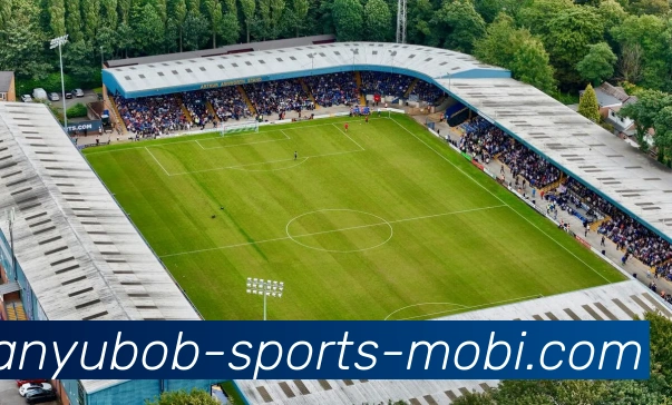 BOB体育发展历程